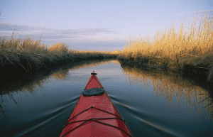 Kayaking and Canoeing in Naples Florida